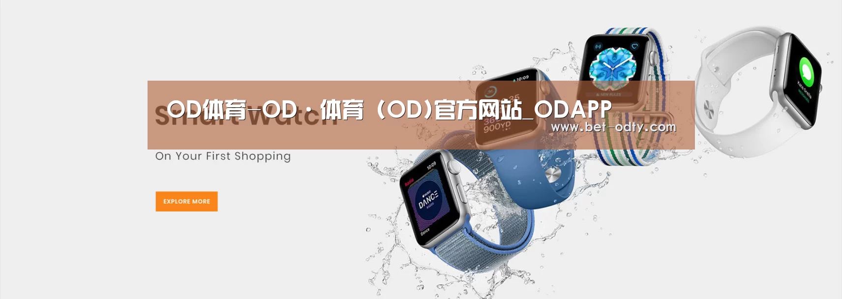 某某网络科技有限公司