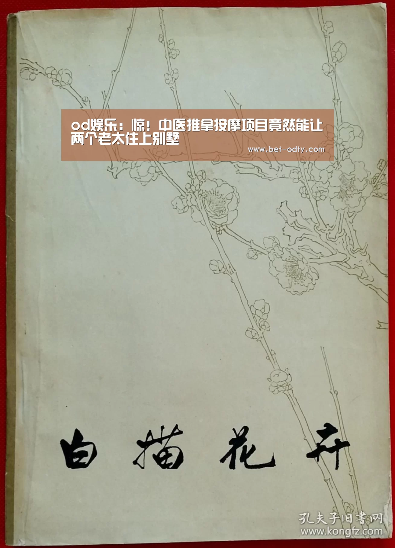 od娱乐:惊!中医推拿按摩项目竟然能让两个老太住上别墅(图1) od娱乐