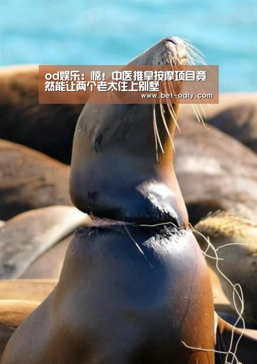 od娱乐:惊!中医推拿按摩项目竟然能让两个老太住上别墅(图2) od娱乐