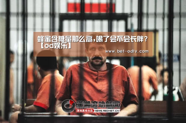 od娱乐