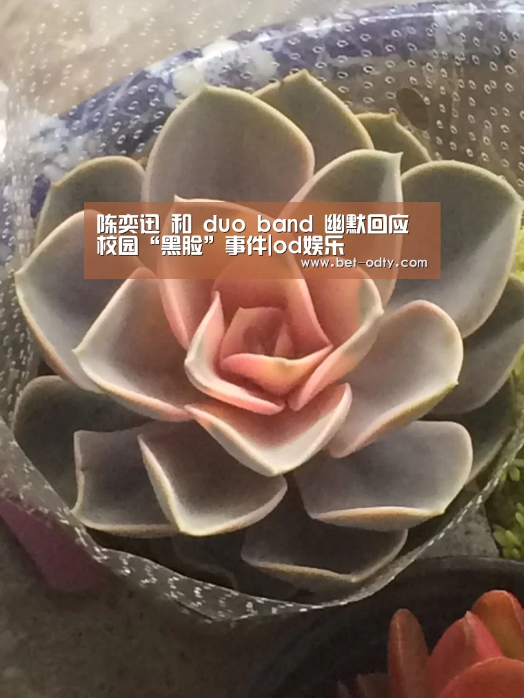 陈奕迅 和 duo band 幽默回应校园“黑脸”事件|od娱乐(图1) od娱乐