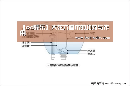 od娱乐