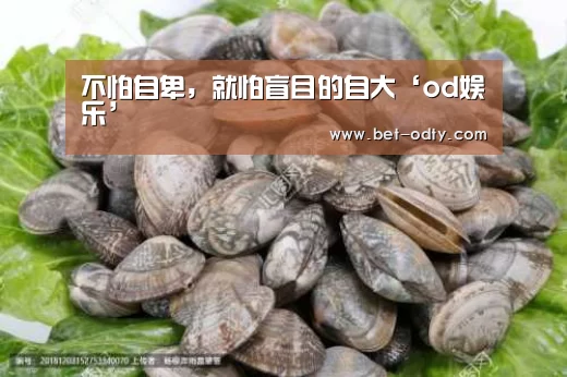 od娱乐